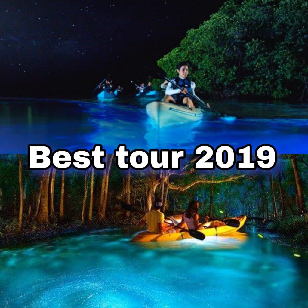 i-tour-puerto-rico-promo-codes-coupons-2023-itour-puerto-rico