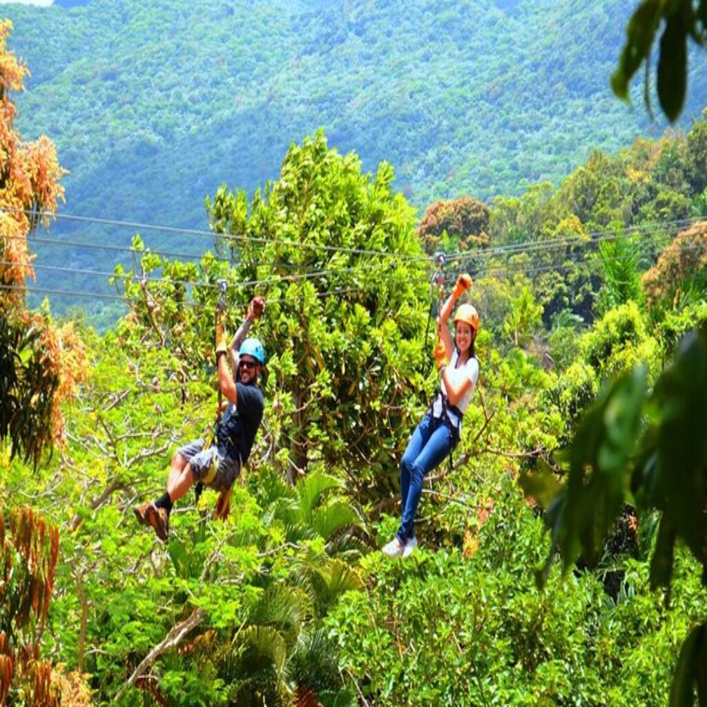 el yunque zipline tours