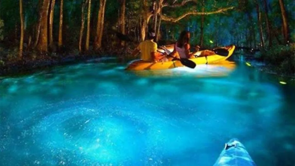 Bioluminescent Bay Kayaking Tour at Night in Fajardo Puerto Rico