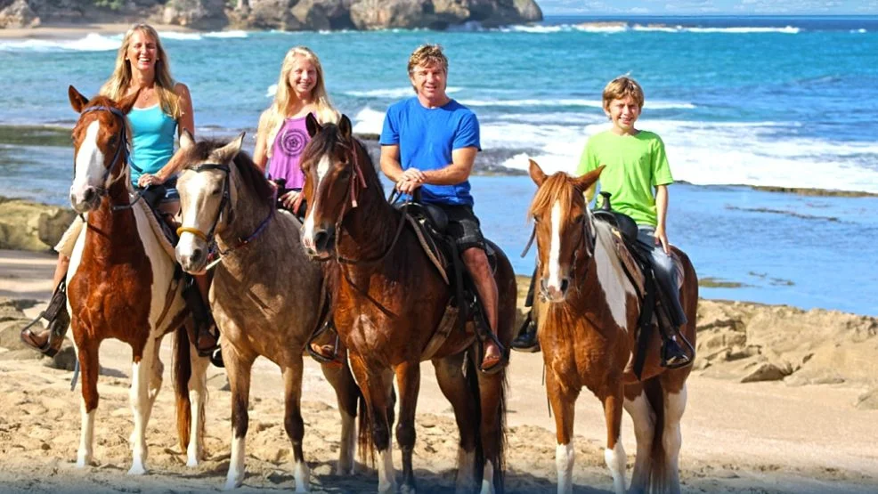 Guided Hiking Tour to Tropical Waterfalls in El Yunque National Forest Puerto Rico