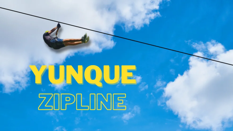 Thrilling Zipline Canopy Tour Over the Puerto Rico Rainforest Mountains